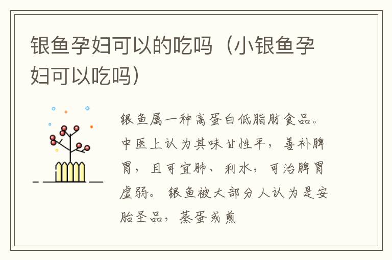 银鱼孕妇可以的吃吗（小银鱼孕妇可以吃吗）