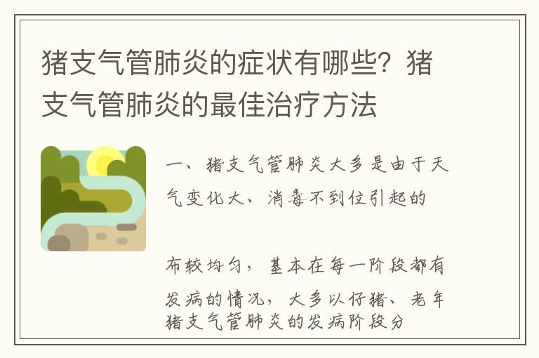 猪支气管肺炎的症状有哪些？猪支气管肺炎的最佳治疗方法