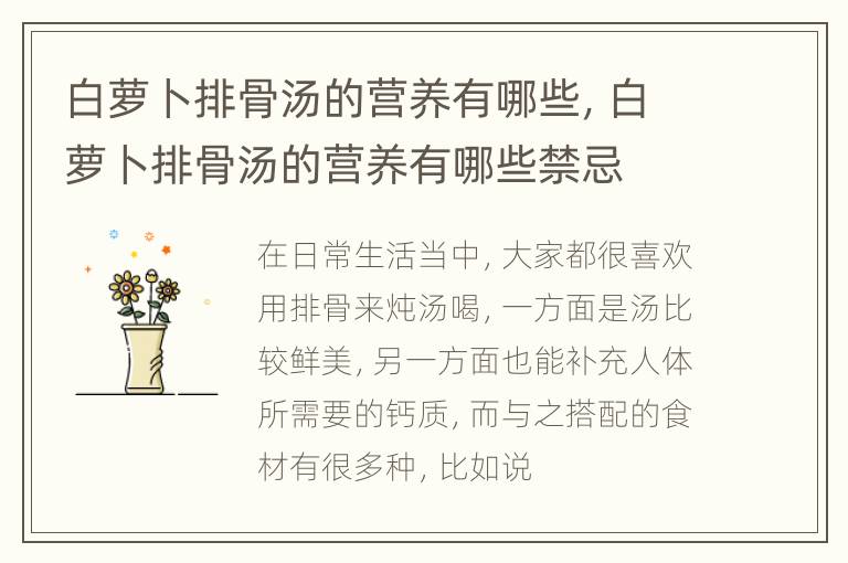 白萝卜排骨汤的营养有哪些，白萝卜排骨汤的营养有哪些禁忌