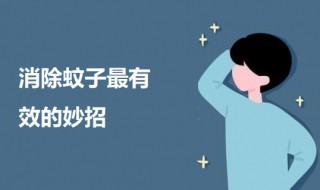 消除蚊子最有效的妙招 如何消除蚊子最有效
