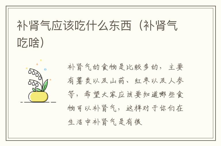 补肾气应该吃什么东西（补肾气吃啥）