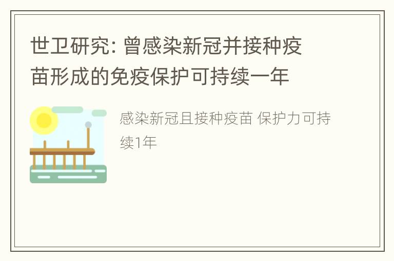 世卫研究：曾感染新冠并接种疫苗形成的免疫保护可持续一年