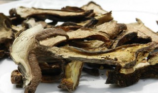 牛肝菌保存方法 牛肝菌保存方法是什么
