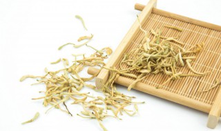 金银花和什么搭配排毒 哪种食材和金银花搭配排毒