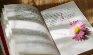 边城好词好句好大全 边城的好词好句摘抄总结