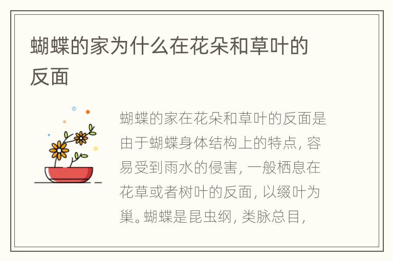 蝴蝶的家为什么在花朵和草叶的反面