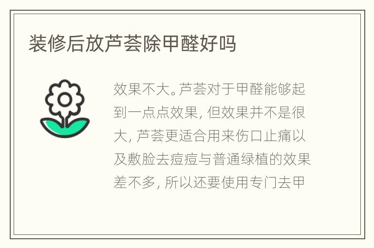 装修后放芦荟除甲醛好吗