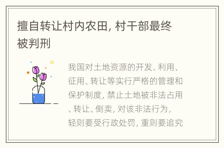 擅自转让村内农田，村干部最终被判刑