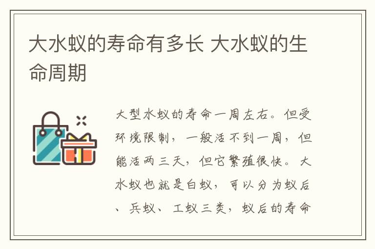 大水蚁的寿命有多长 大水蚁的生命周期