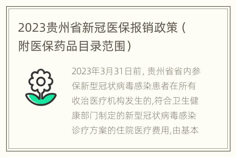 2023贵州省新冠医保报销政策（附医保药品目录范围）