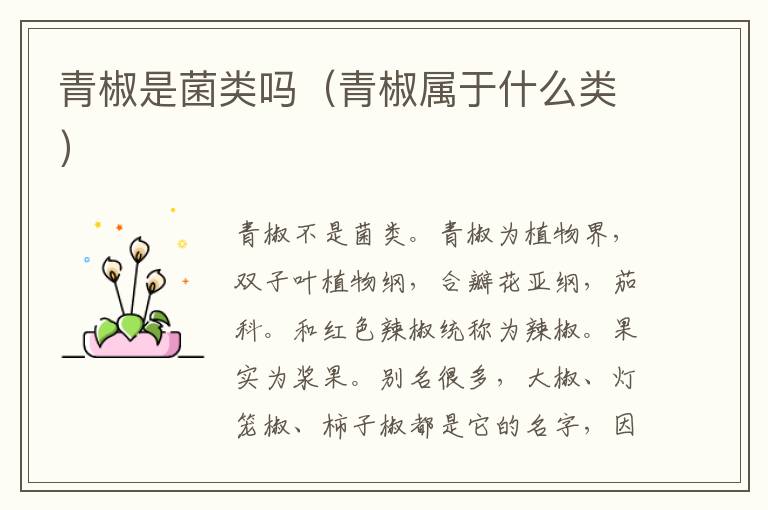 青椒是菌类吗（青椒属于什么类）