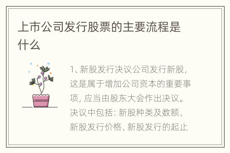 上市公司发行股票的主要流程是什么