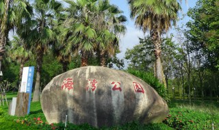 厦门海湾公园有什么好玩的 厦门海湾公园的简介