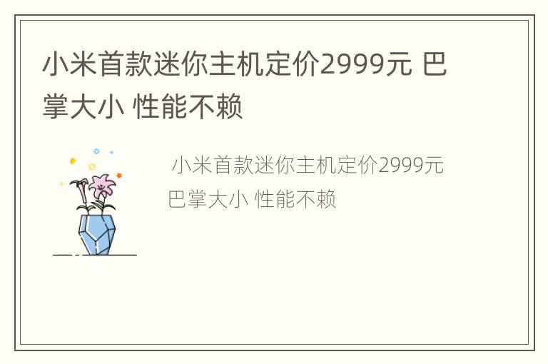小米首款迷你主机定价2999元 巴掌大小 性能不赖
