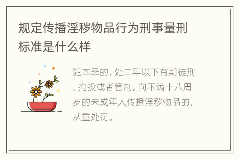 规定传播淫秽物品行为刑事量刑标准是什么样