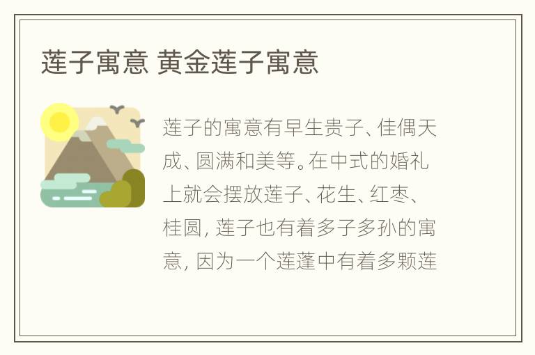 莲子寓意 黄金莲子寓意