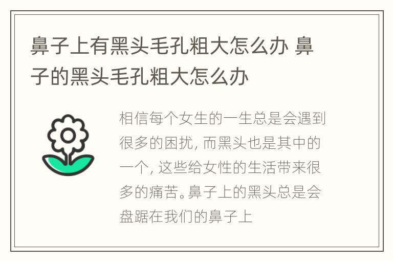 鼻子上有黑头毛孔粗大怎么办 鼻子的黑头毛孔粗大怎么办