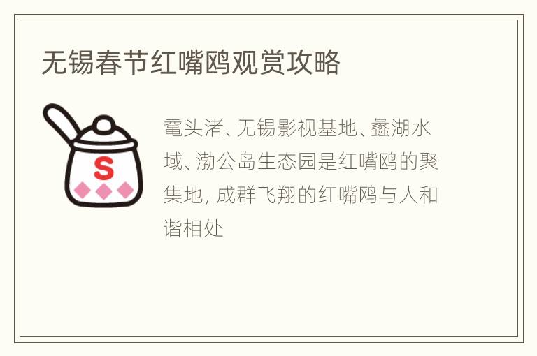 无锡春节红嘴鸥观赏攻略