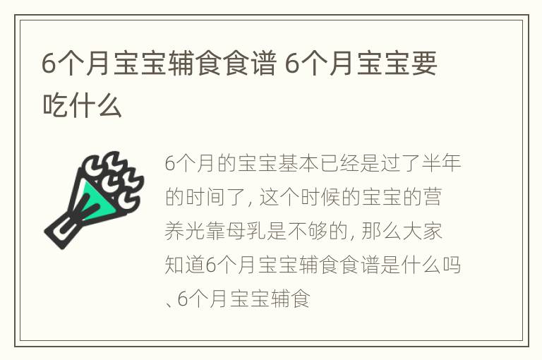 6个月宝宝辅食食谱 6个月宝宝要吃什么