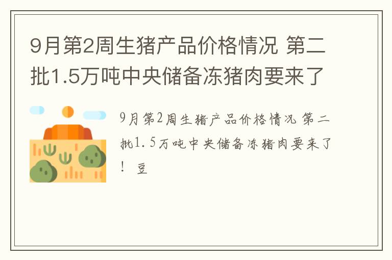 9月第2周生猪产品价格情况 第二批1.5万吨中央储备冻猪肉要来了！豆