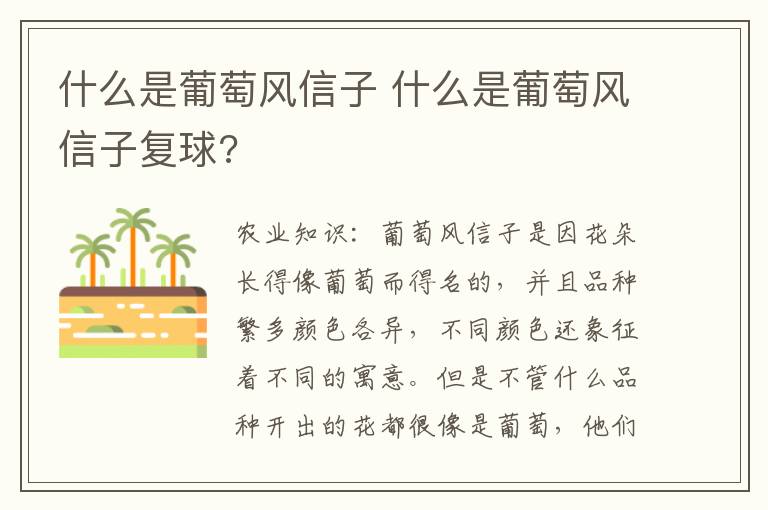 什么是葡萄风信子 什么是葡萄风信子复球?