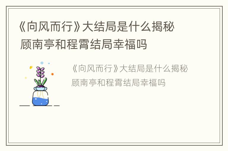 《向风而行》大结局是什么揭秘 顾南亭和程霄结局幸福吗