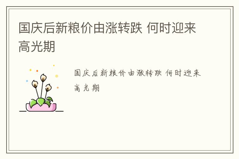 国庆后新粮价由涨转跌 何时迎来高光期