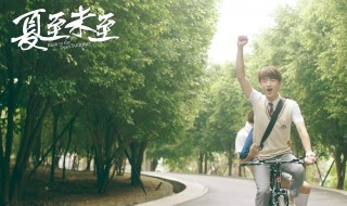 夏至未至经典句子 夏至未至经典句子有哪些