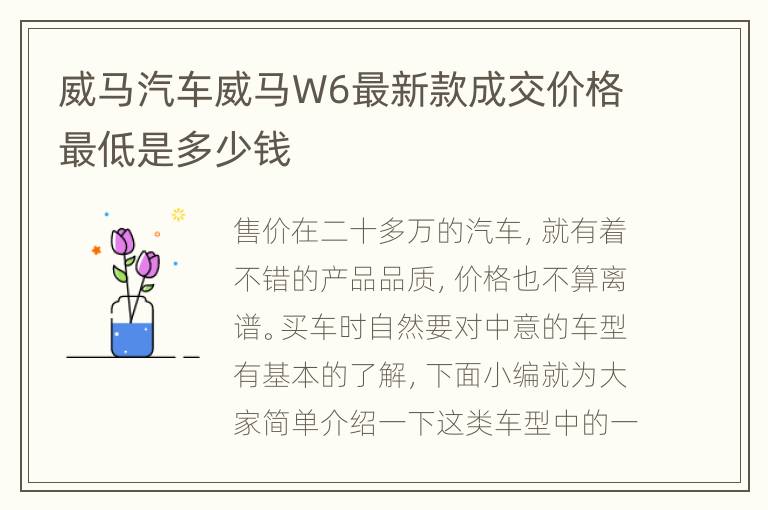威马汽车威马W6最新款成交价格最低是多少钱
