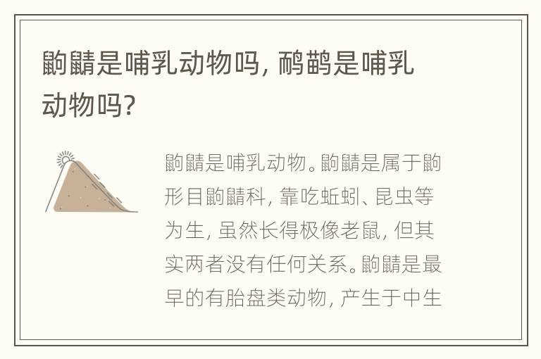 鼩鼱是哺乳动物吗，鸸鹋是哺乳动物吗?