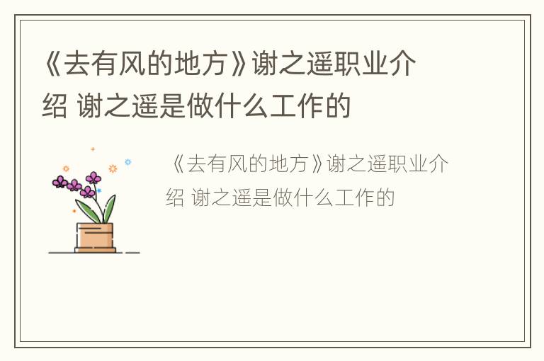 《去有风的地方》谢之遥职业介绍 谢之遥是做什么工作的
