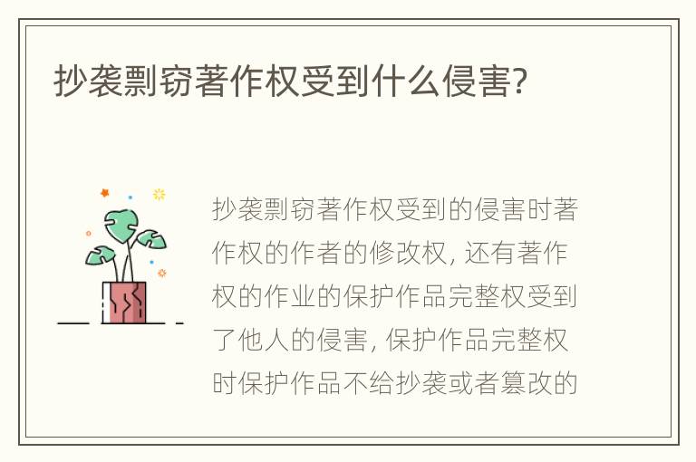 抄袭剽窃著作权受到什么侵害？