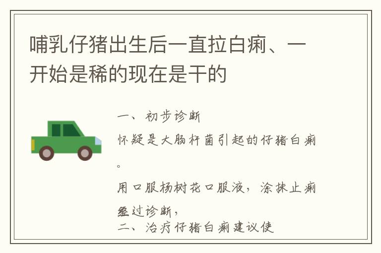 哺乳仔猪出生后一直拉白痢、一开始是稀的现在是干的