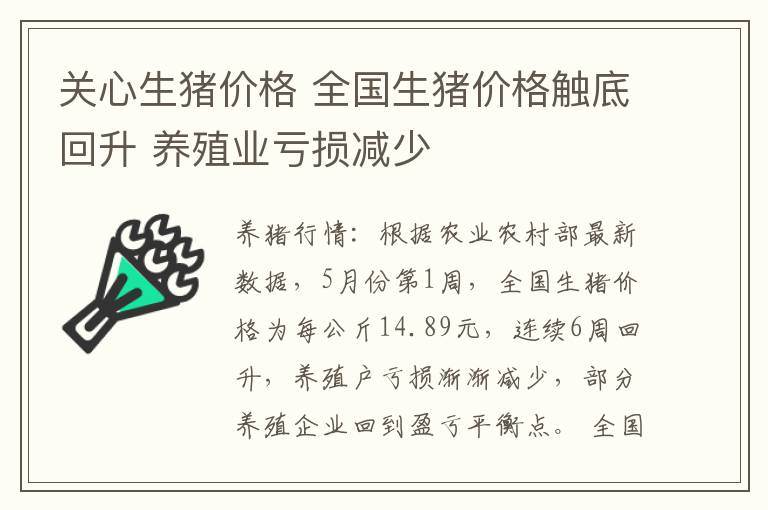 关心生猪价格 全国生猪价格触底回升 养殖业亏损减少