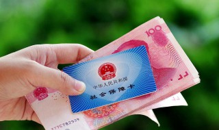 社保和养老保险一样吗 养老保险和社保是不是一样