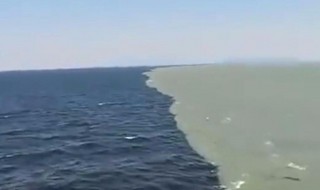 太平洋海水温度什么的现象 太平洋海水温度会异常吗