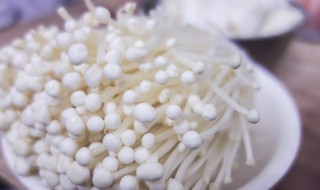 肉丝金针菇汤 肉丝金针菇汤的做法