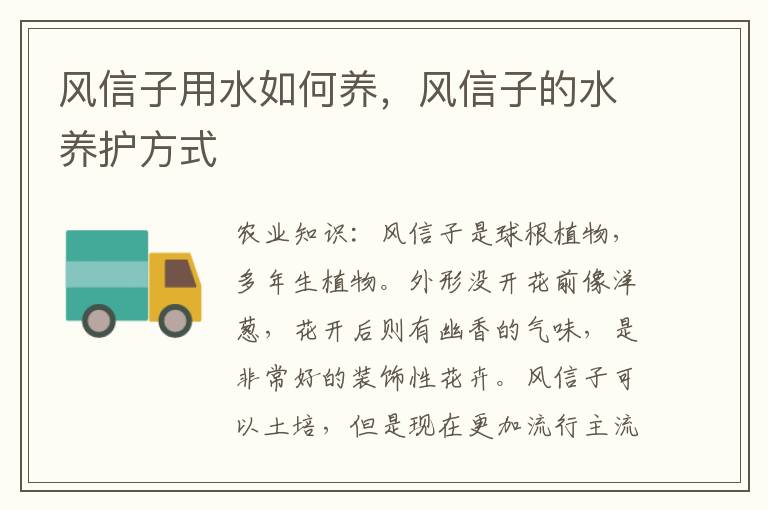 风信子用水如何养，风信子的水养护方式