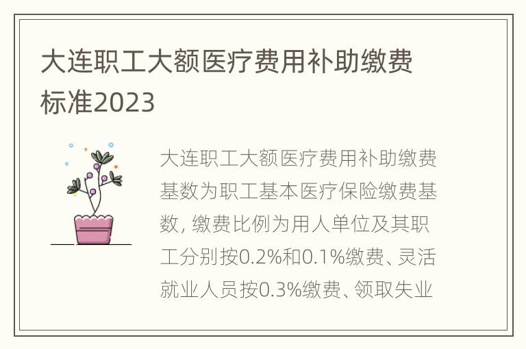 大连职工大额医疗费用补助缴费标准2023