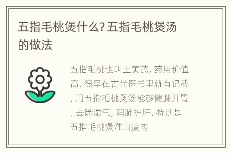 五指毛桃煲什么？五指毛桃煲汤的做法