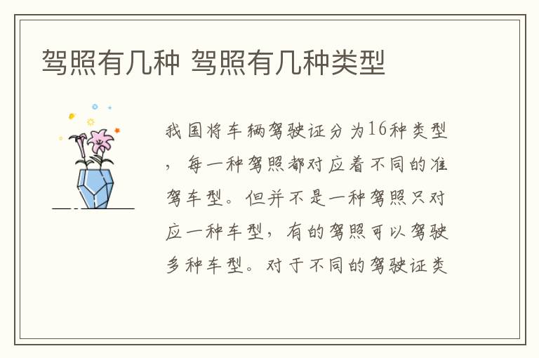 驾照有几种 驾照有几种类型