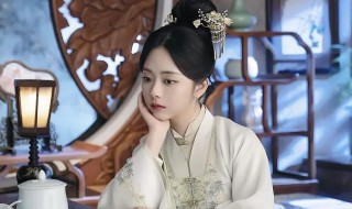 电视剧锦心似玉是什么朝代 锦心似玉讲述了什么故事