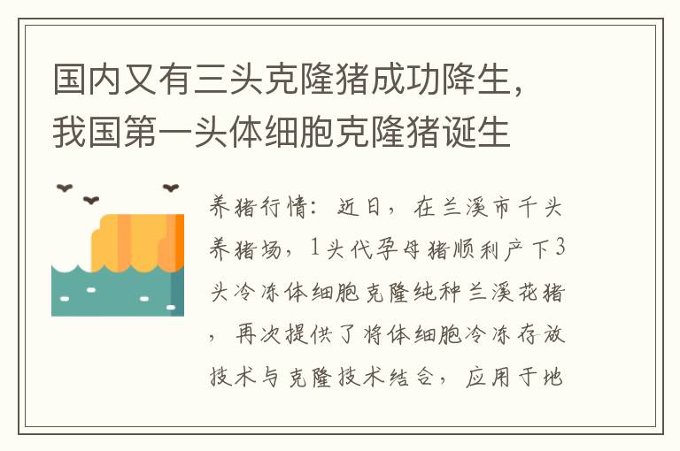 国内又有三头克隆猪成功降生，我国第一头体细胞克隆猪诞生