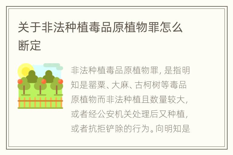 关于非法种植毒品原植物罪怎么断定