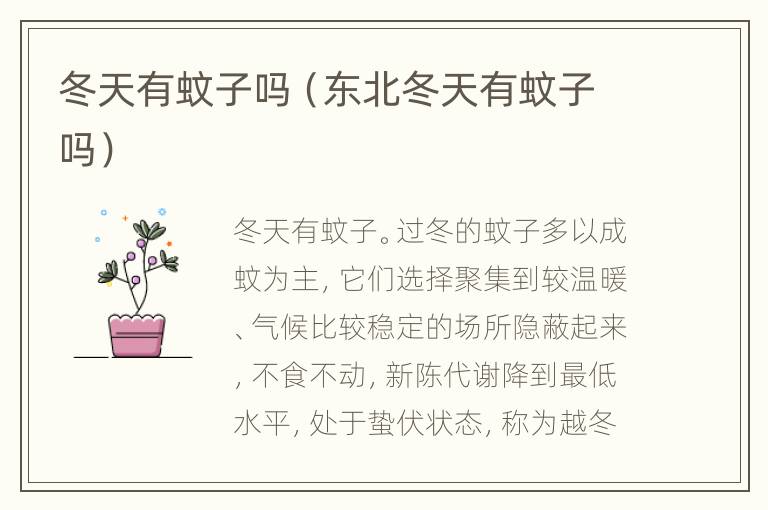 冬天有蚊子吗（东北冬天有蚊子吗）