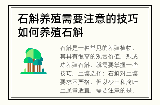 石斛养殖需要注意的技巧 如何养殖石斛