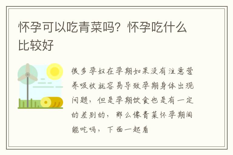 怀孕可以吃青菜吗？怀孕吃什么比较好