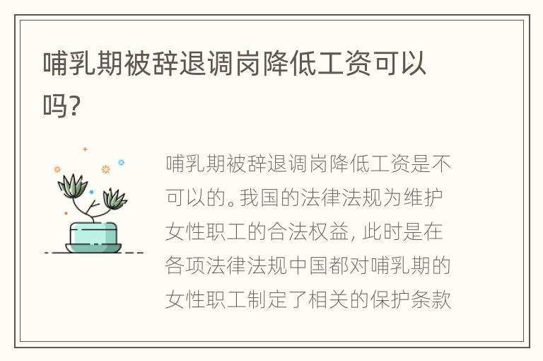 哺乳期被辞退调岗降低工资可以吗？
