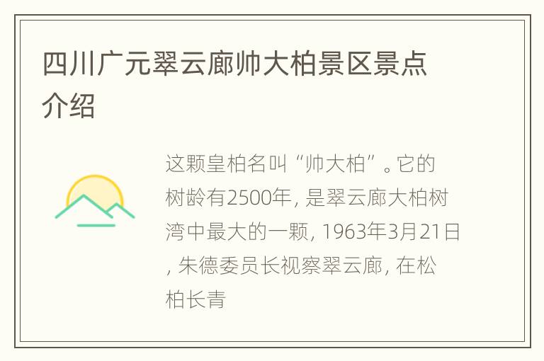 四川广元翠云廊帅大柏景区景点介绍