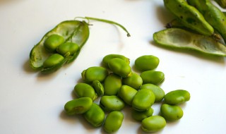 兰花豆不能和什么一起吃 兰花豆不能一起吃的食物